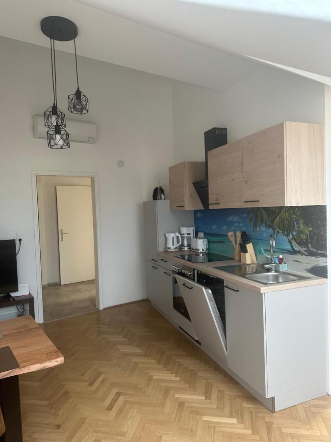 Klimatisiertes Dachgeschoss City Apartment In Zentrum Wiens Viena Exterior foto
