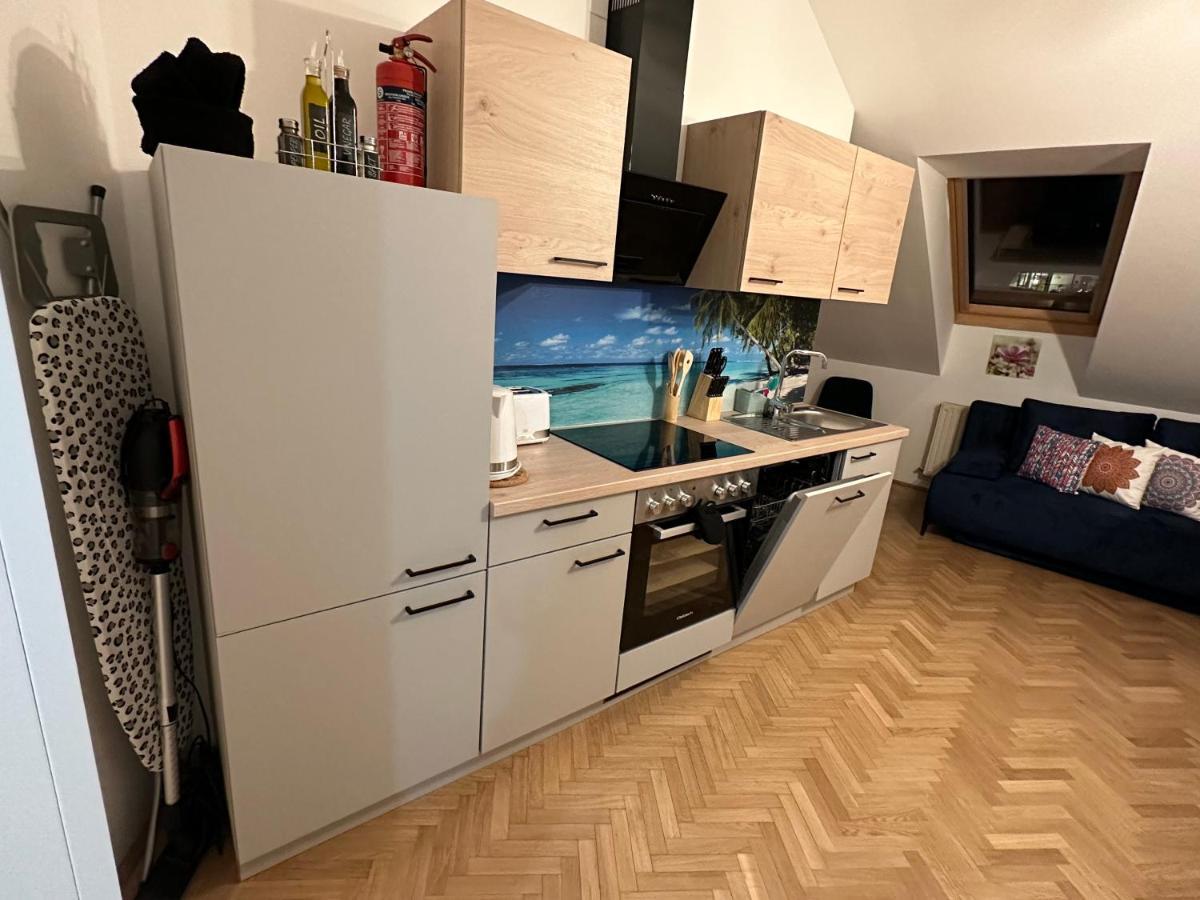 Klimatisiertes Dachgeschoss City Apartment In Zentrum Wiens Viena Exterior foto