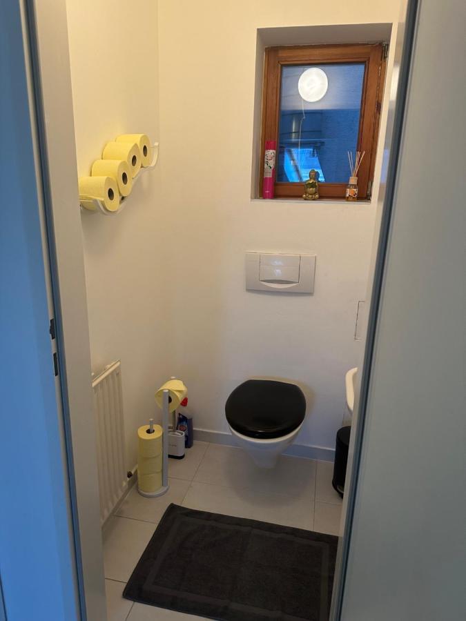 Klimatisiertes Dachgeschoss City Apartment In Zentrum Wiens Viena Exterior foto