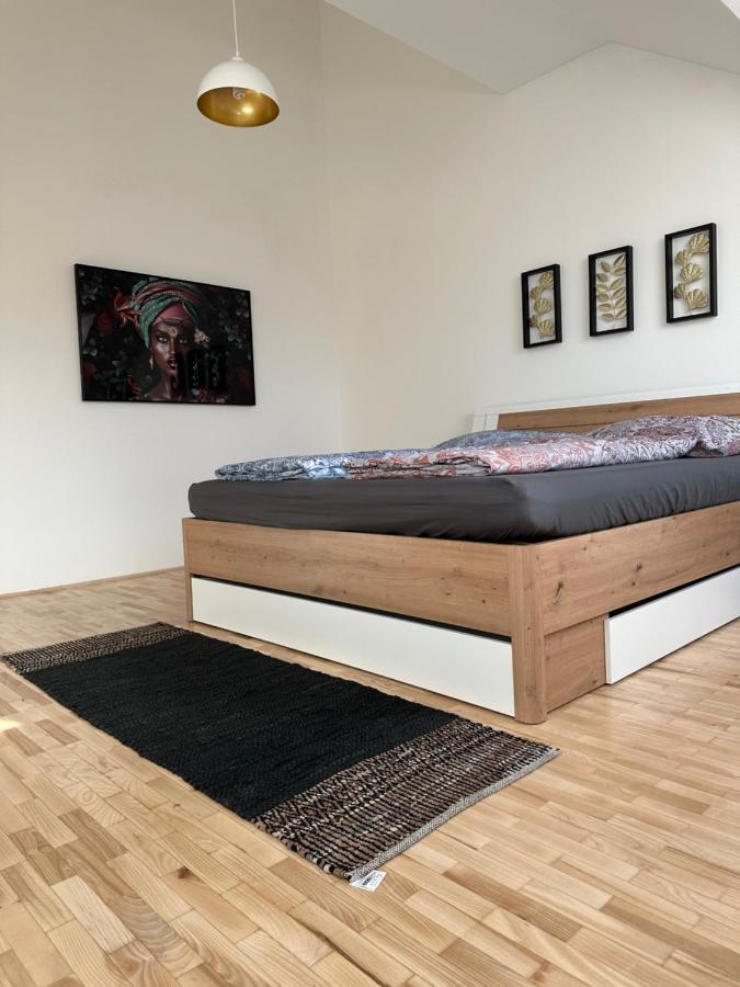 Klimatisiertes Dachgeschoss City Apartment In Zentrum Wiens Viena Exterior foto