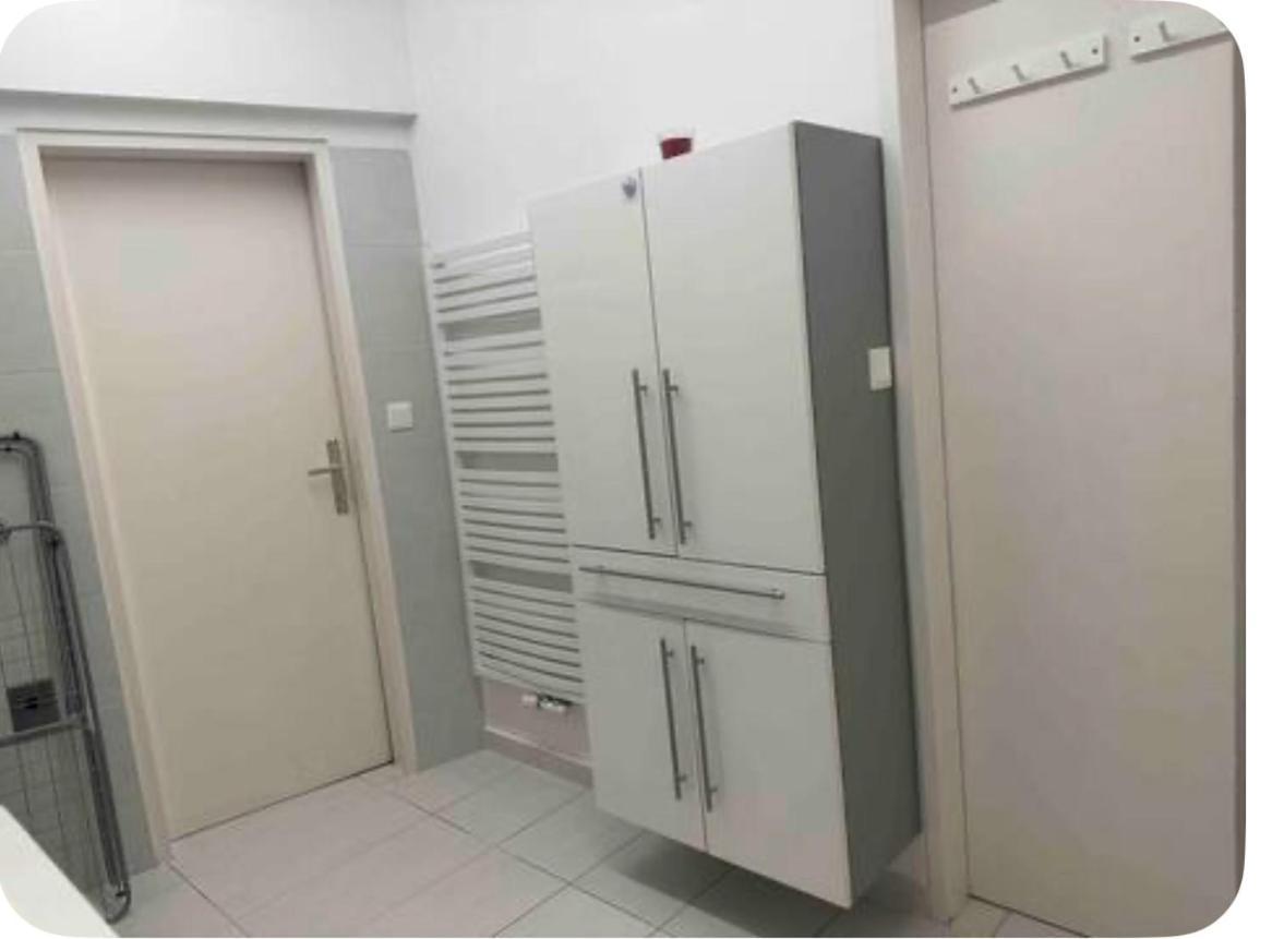 Klimatisiertes Dachgeschoss City Apartment In Zentrum Wiens Viena Exterior foto